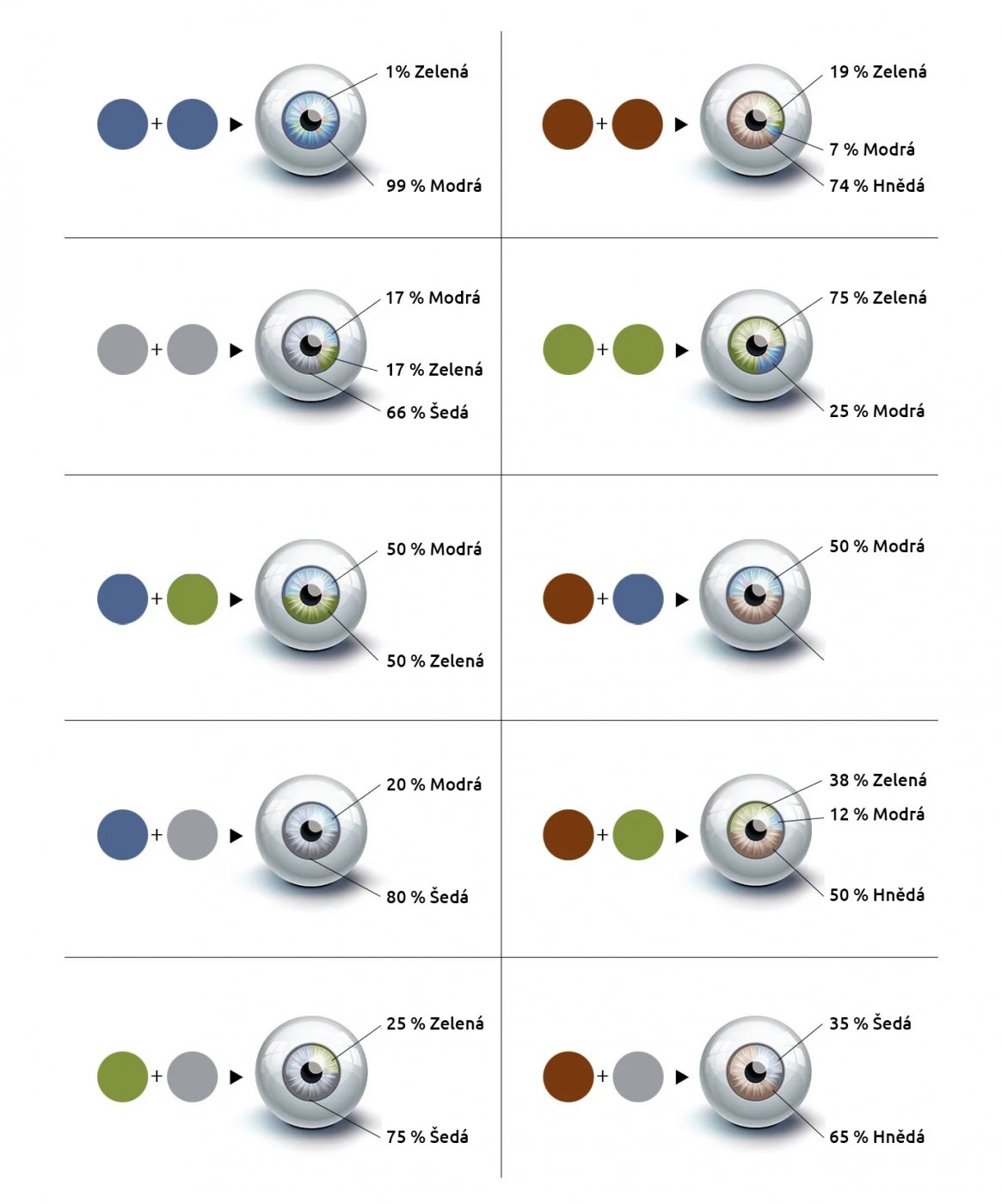 Jaký význam mají hnědé očí?