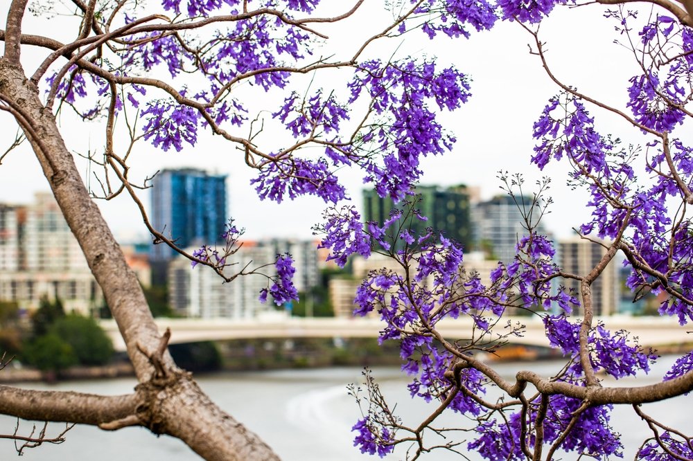 jaro, příroda ve městě