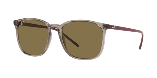 Ray-Ban 0RB4387 657273