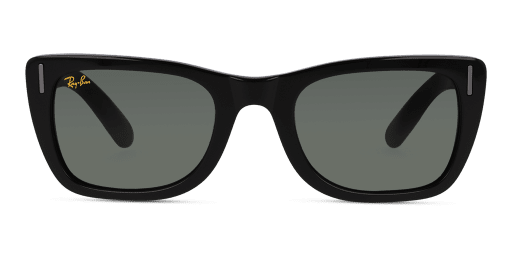 Ray-Ban 0RB2248 901/31