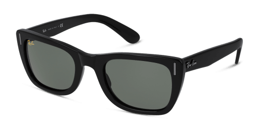 Ray-Ban 0RB2248 901/31