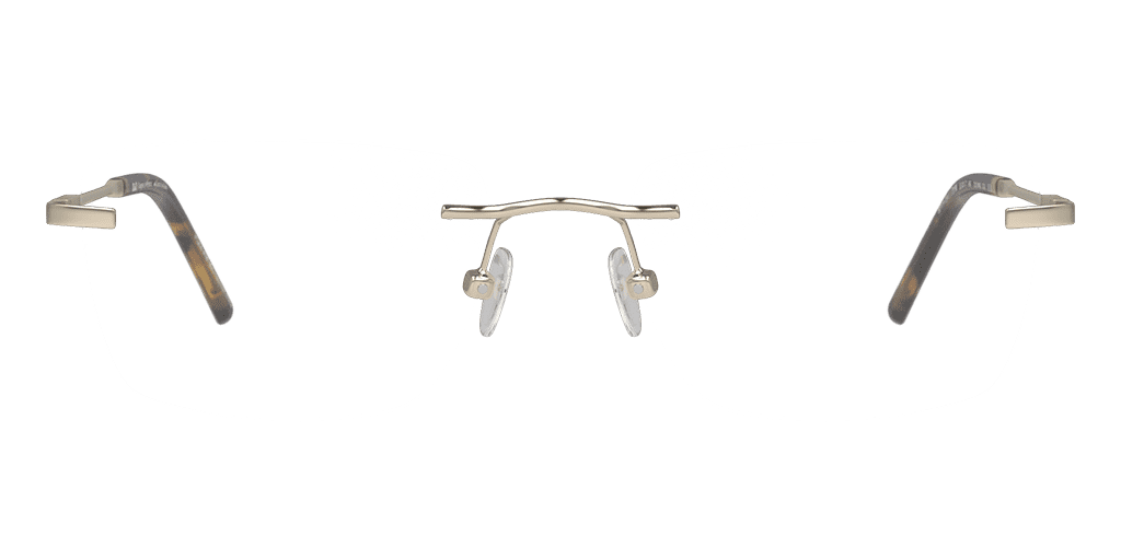 DBOM7005