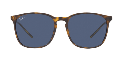 Ray-Ban 0RB4387 710/80