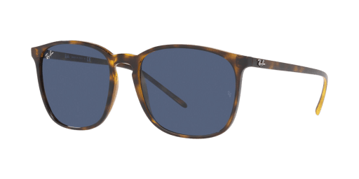 Ray-Ban 0RB4387 710/80