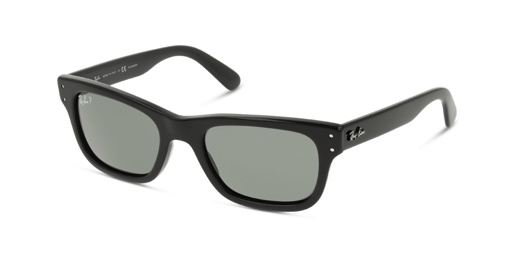 Ray-Ban 0RB2283 901/58
