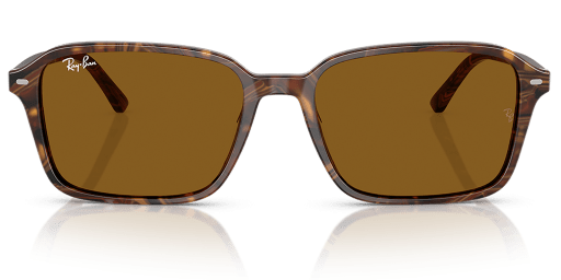 0RB2231
