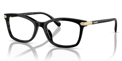 0HC6219U