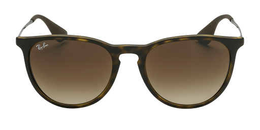 Ray-Ban 0RB4171 865/13