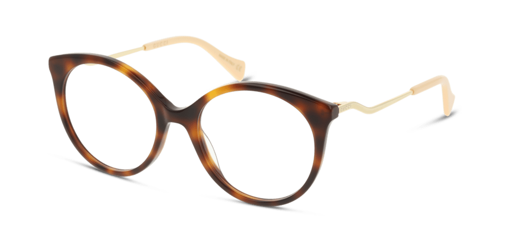 Gucci GG1009O 1