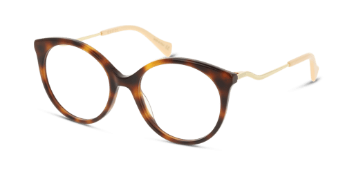 Gucci GG1009O 1