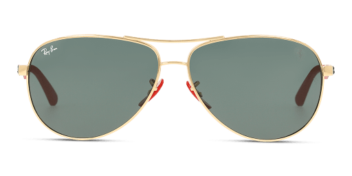 Ray-Ban 0RB8313M F00871