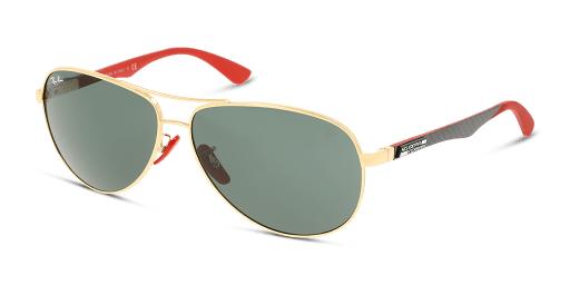 Ray-Ban 0RB8313M F00871
